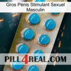 Gros Pénis Stimulant Sexuel Masculin new09